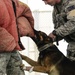 MWDs “pawsitively” impact base security