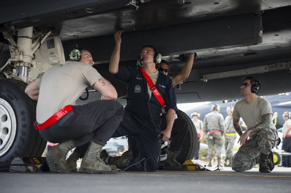 Crew chiefs ensure Panthers fly with precision