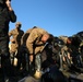 Mongolian Armed Forces, National Police execute final training exercise of NOLES