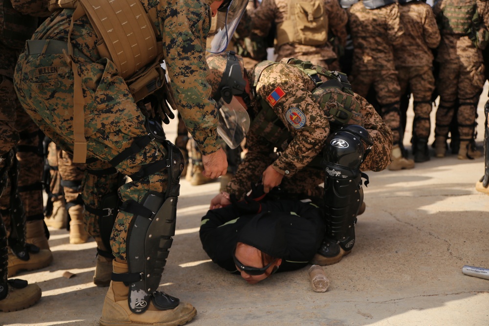 Mongolian Armed Forces, National Police execute final training exercise of NOLES
