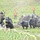 International MPs train with crowd control, find common language in police procedures