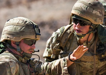 Coalition forces conduct Exercise Black Alligator