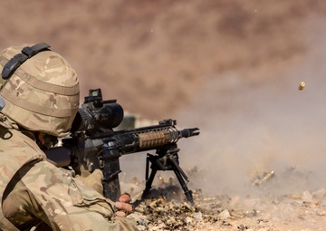 Coalition forces conduct Exercise Black Alligator