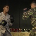 U.S. Marines, Romanians spar during Martial Arts Instructor Course
