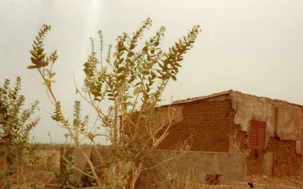 MISC Agriculture/Environment Image 01