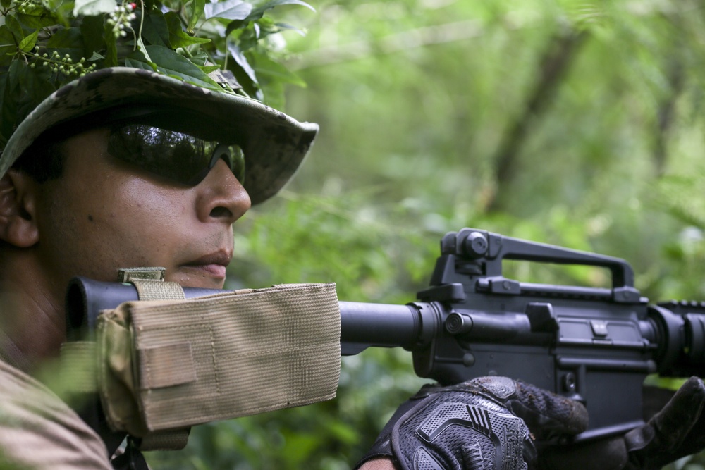 Valiant Shield 16: Kilo 3/3 Marines Conduct Airfield Seizure