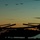 Ospreys take flight during VS 16