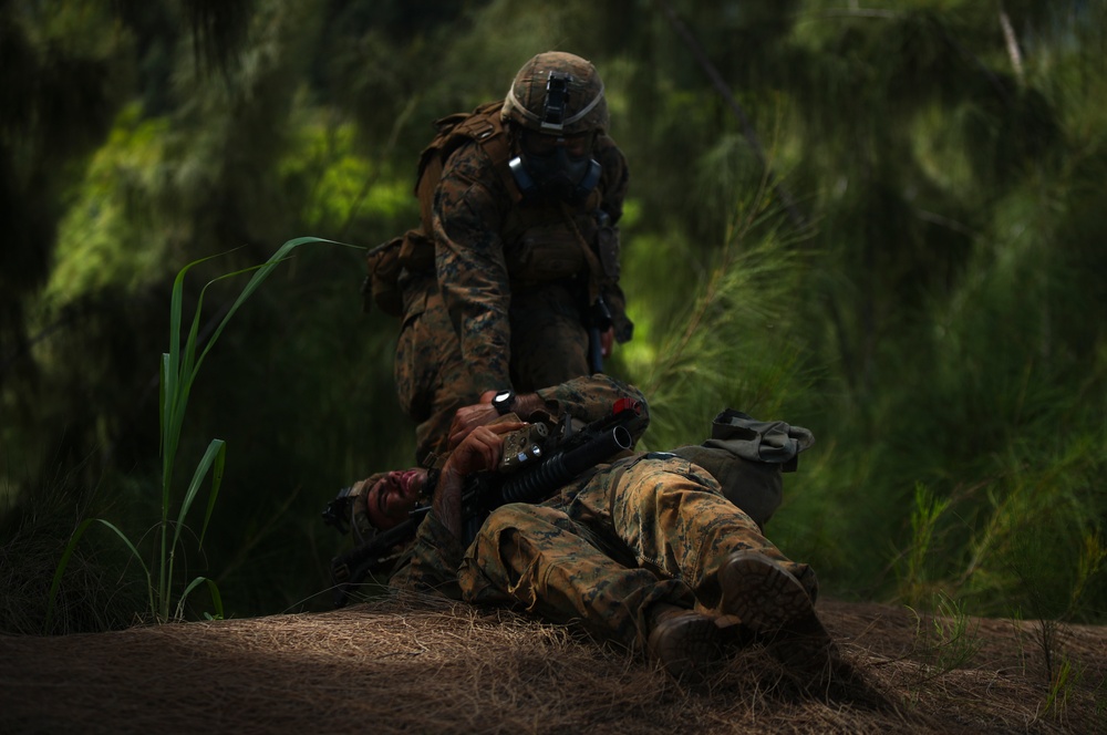 Advanced Infantry Course, Hawaii 2016