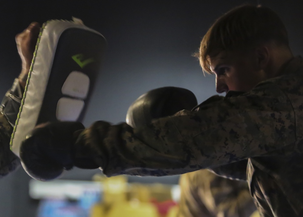 U.S. Marines, Romanians spar during Martial Arts Instructor Course