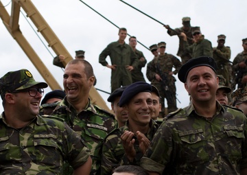 Platinum Lynx 16.5 Static Display