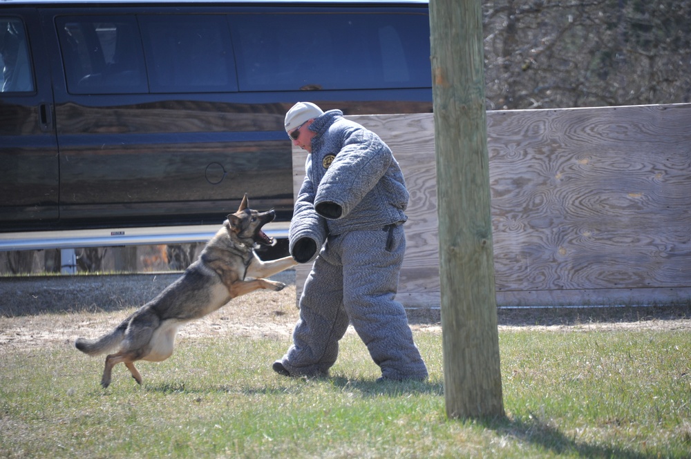 County Law Enforcement Trains at Fort McCoy