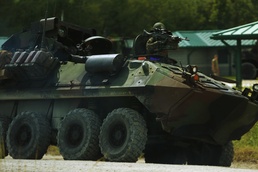 Gunner Up: 2nd LAR conducts combined weapons training