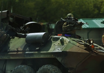 Gunner Up: 2nd LAR conducts combined weapons training