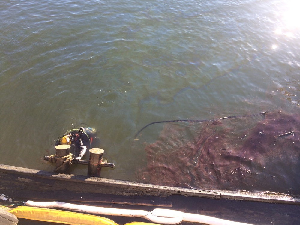 Coast Guard monitors cleanup of oil product on Columbia River