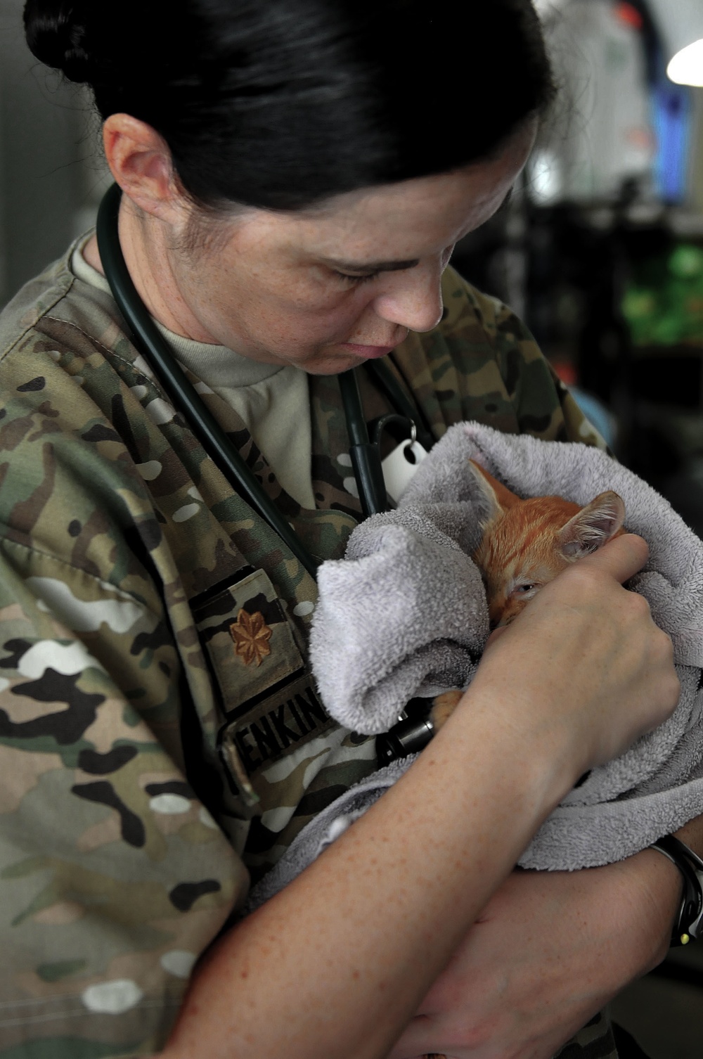 248th Medical Detachment Veterinary Service Support