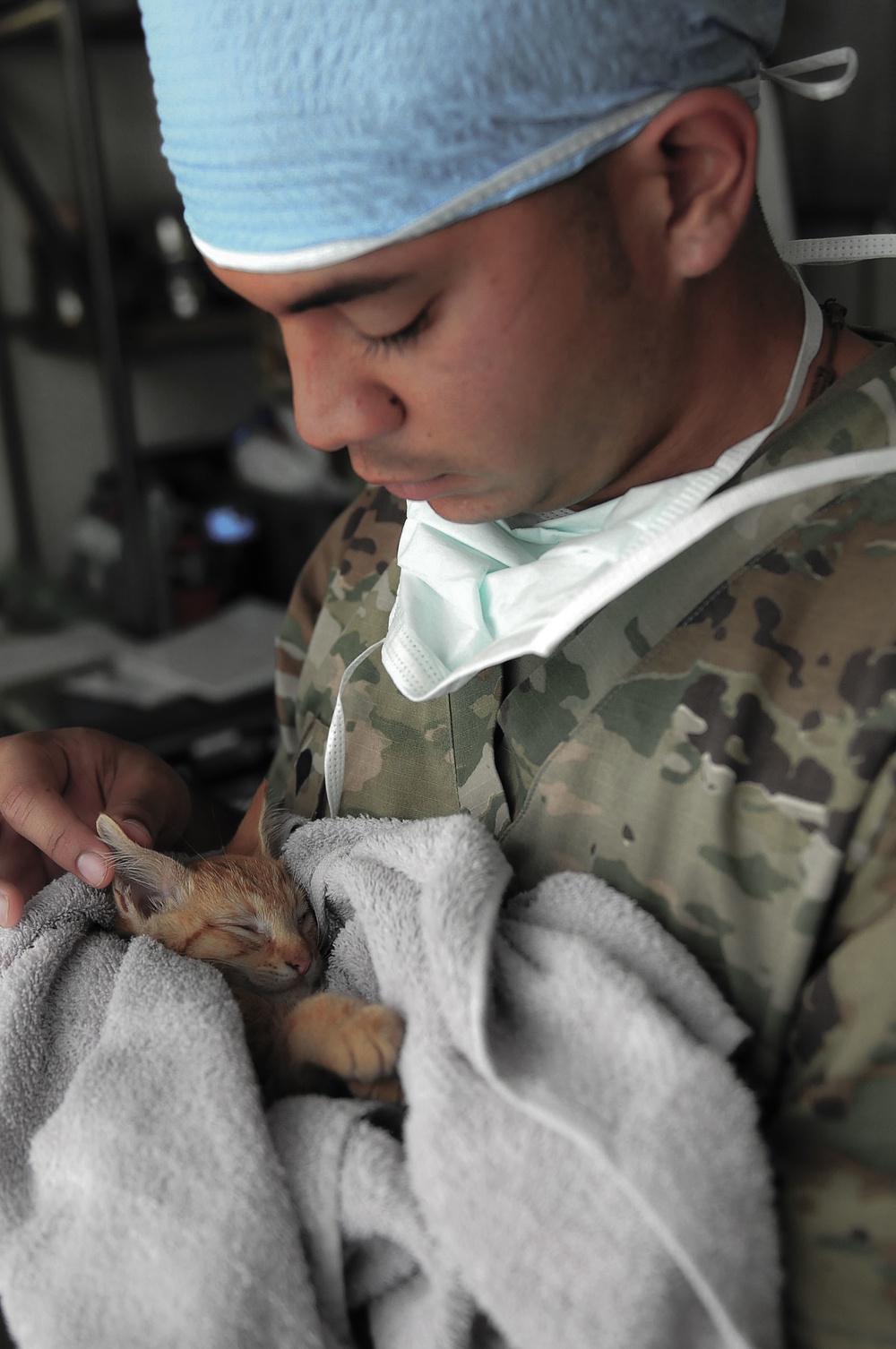 248th Medical Detachment Veterinary Service Support