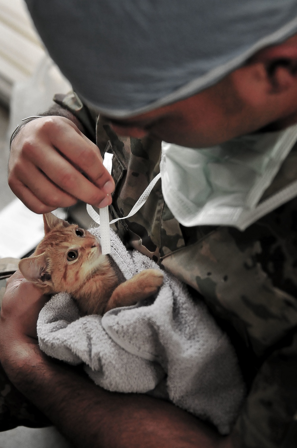 e 248th Medical Detachment Veterinary Service Support