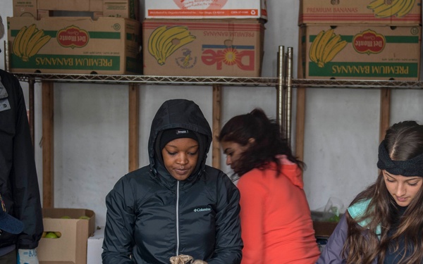Sailors pick apples for North Whidbey Help House