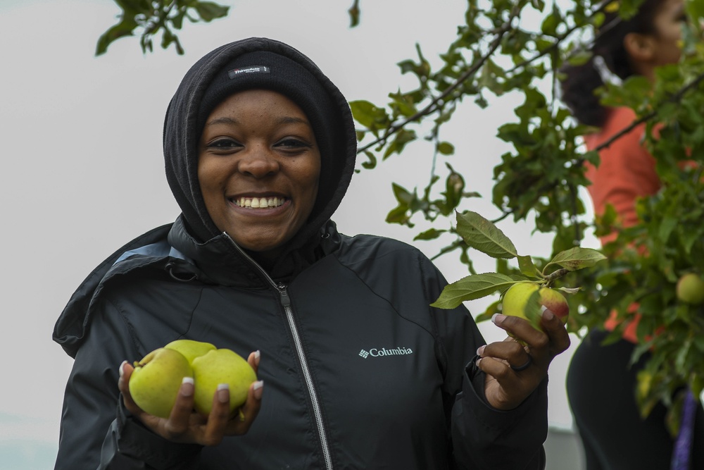 Sailors pick apples for North Whidbey Help House