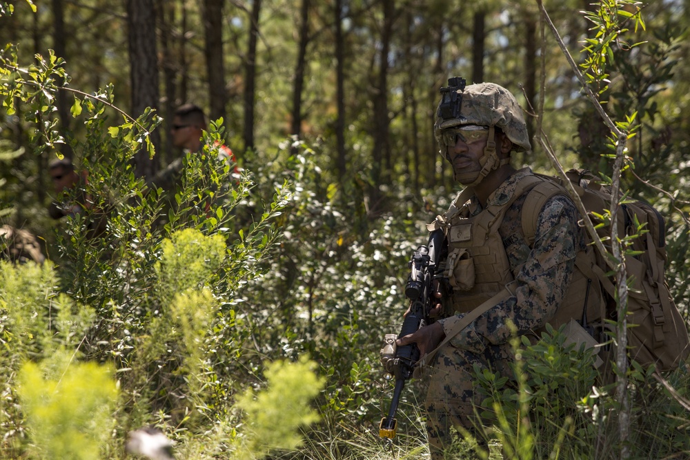 1/2 conducts TRAP training