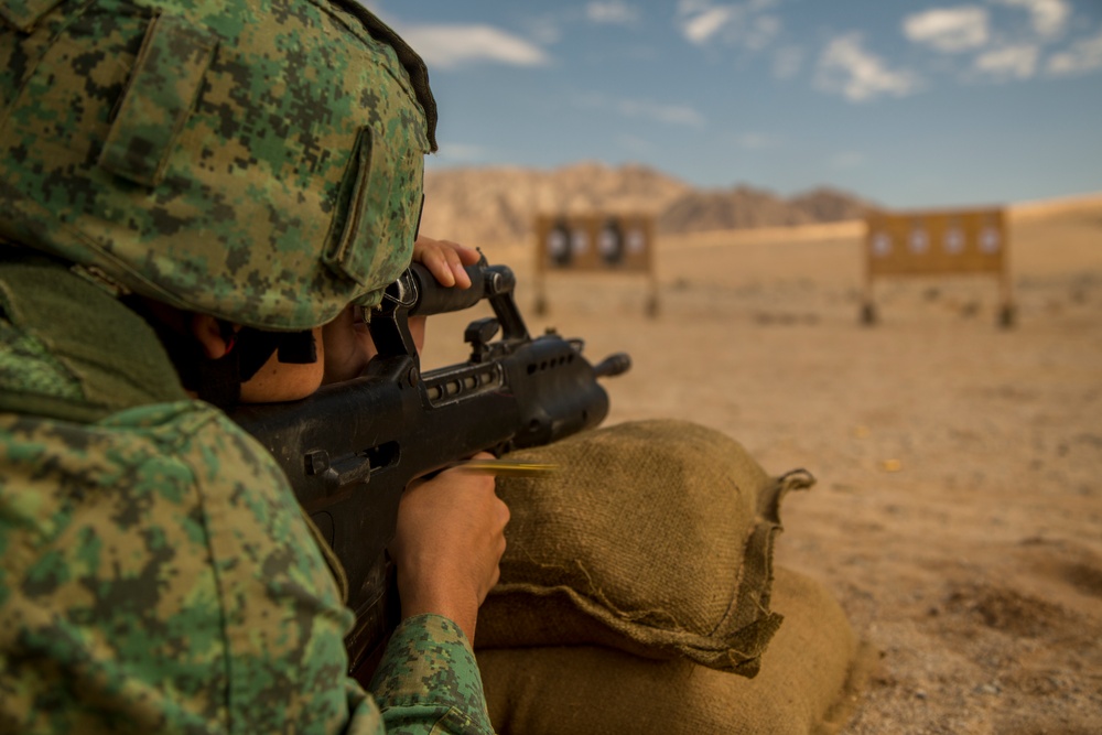 U.S. Marines and Singapore Armed Forces refine rifle and machine gun marksmanship