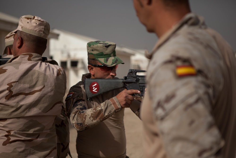 ISF conduct basic combat skills assessments