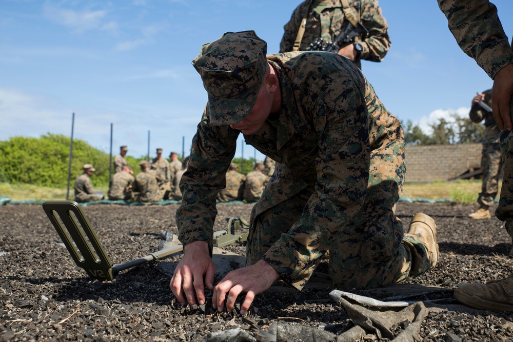 1/3 Marines participate in Exercise Island Viper