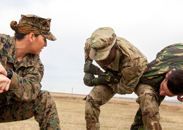 Female Engagement Team Specialities