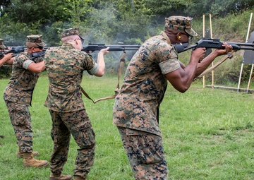 Shotgun training  prepares MALS-31  for ITX