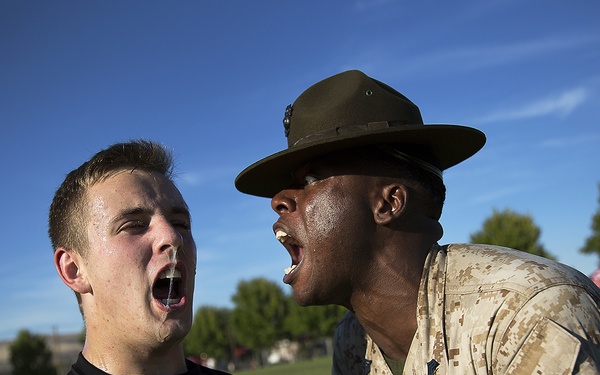 A U.S. Marine drill instructor wearing a campaign cover (drill sergeant hat) and desert MARPAT camouflage uniform is shouting directly into the face of a recruit wearing a black Marines PT shirt. The recruit appears to be responding loudly, with saliva visible at his mouth, in what appears to be a classic drill instructor confrontation during training. The scene takes place on a grassy field under a clear blue sky.