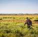 Airmen learn to survive at Rosecrans