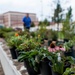 USARC adds beauty to headquarters during National Public Lands Day
