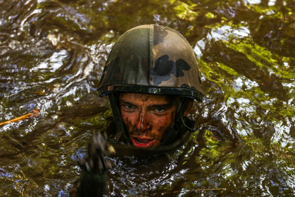 Koa Moana hits the jungle