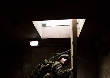 Marines wrap up Exercise Island Viper