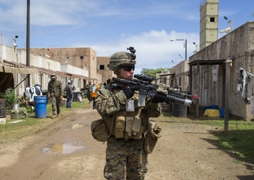 Marines wrap up Exercise Island Viper