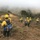 2016 California Wildfires
