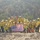 2016 California Wildfires