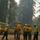 2016 California Wildfires