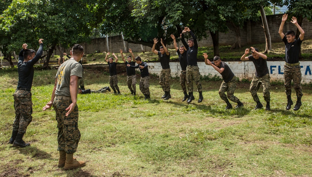 Marine Corps Martial Arts Training, SPMAGTF-SC