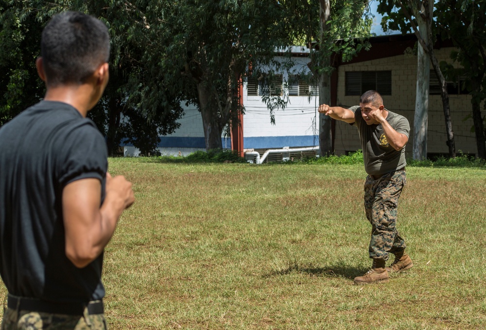 Marine Corps Martial Arts Training, SPMAGTF-SC