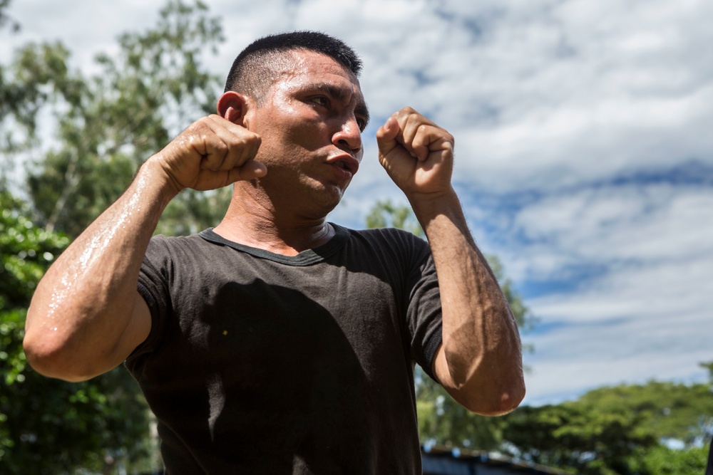 Marine Corps Martial Arts Training, SPMAGTF-SC