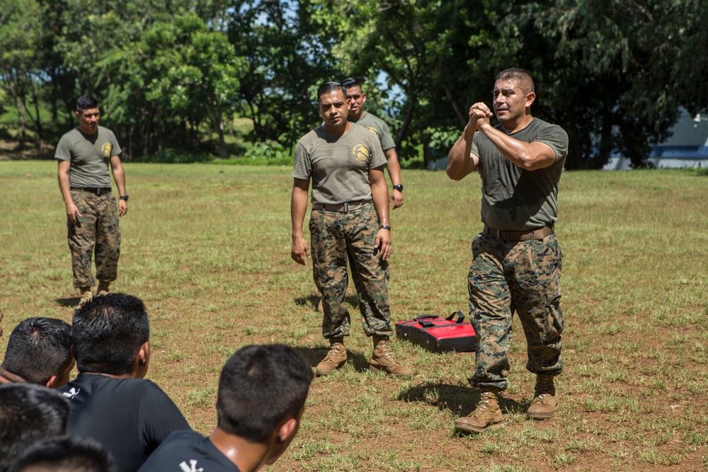 Marine Corps Martial Arts Training, SPMAGTF-SC