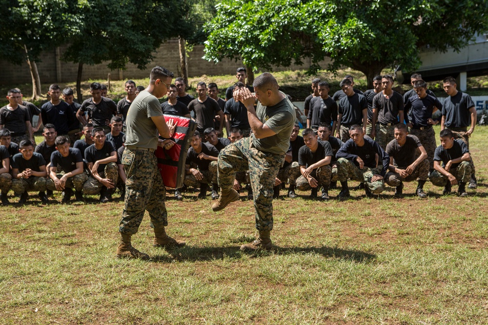 Marine Corps Martial Arts Training, SPMAGTF-SC