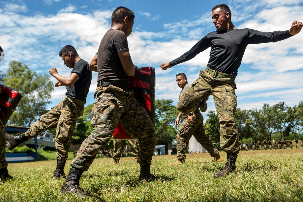 Marine Corps Martial Arts Training, SPMAGTF-SC