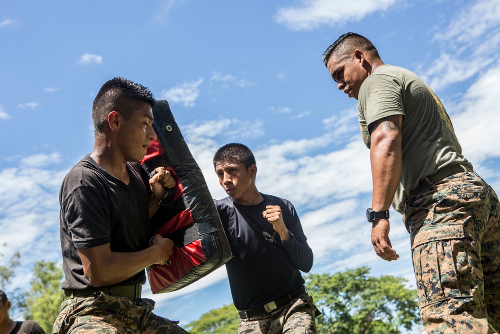 Marine Corps Martial Arts Training, SPMAGTF-SC