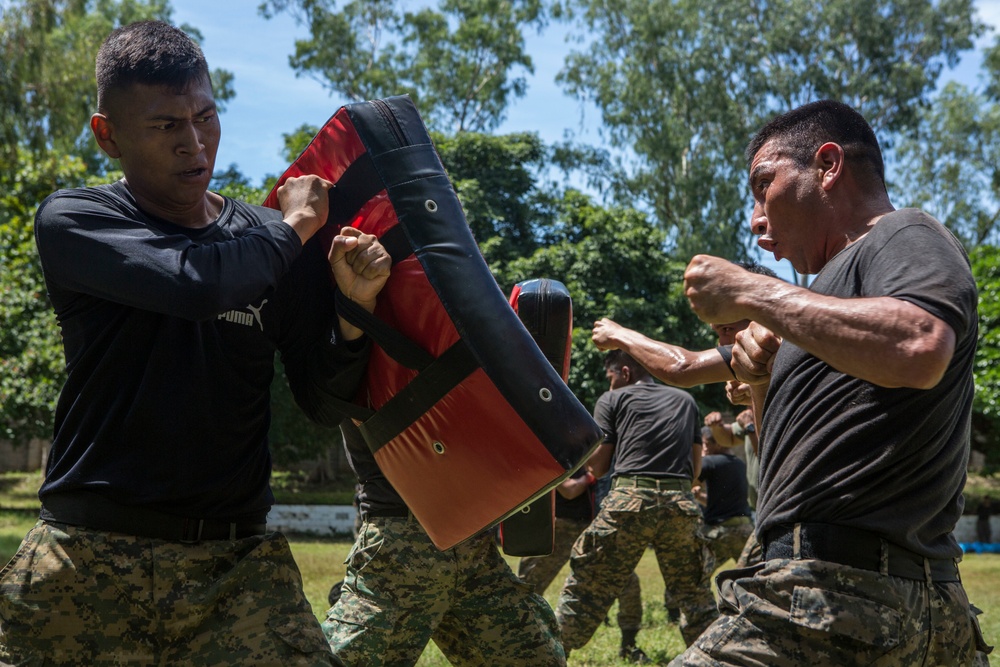 Marine Corps Martial Arts Training, SPMAGTF-SC