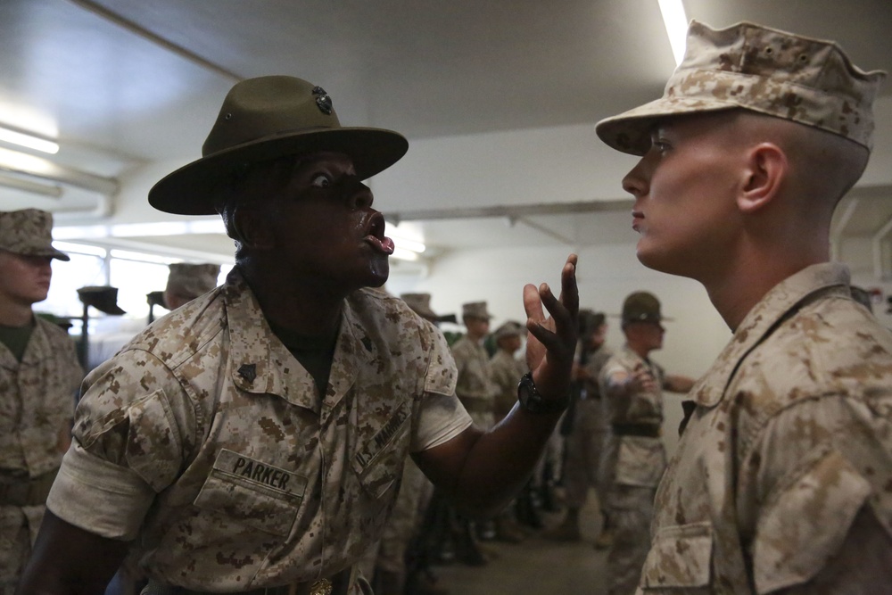 Alpha Company Senior Drill Instructor Inspection