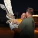 Great horned owls soar over Schriever