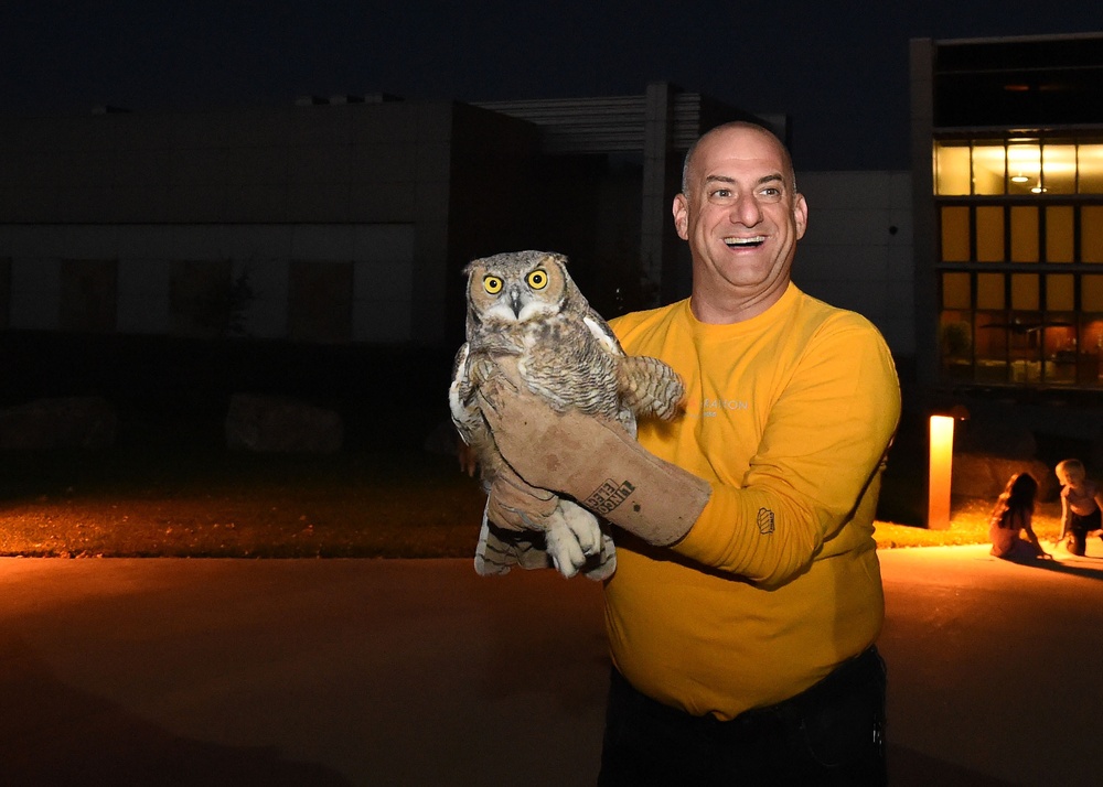 Great horned owls soar over Schriever