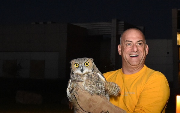 Great horned owls soar over Schriever